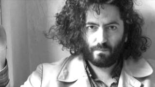 The New Pornographers - Jackie, Dressed In Cobras