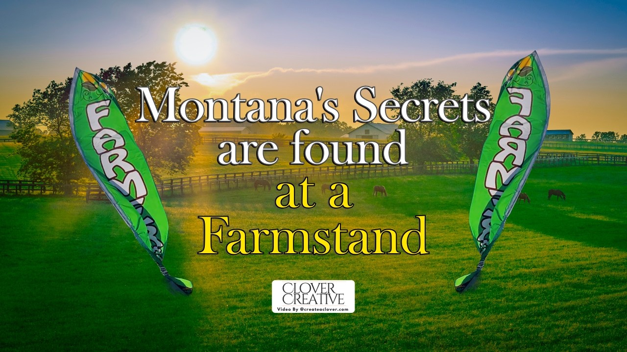 Farmstand Visit