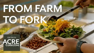 From Farm to Fork: Reimagining How Local Food Reaches Our Plates