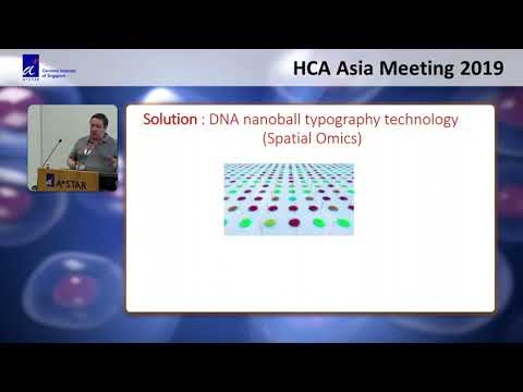 HCA Meeting Asia 2019: The South China Greater Bay Area Single Cell Consortium