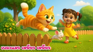 เพลงแมว เหมียว เหมียว เพลงเด็กคิดส์มีซอง 2568 By KidsMeSong
