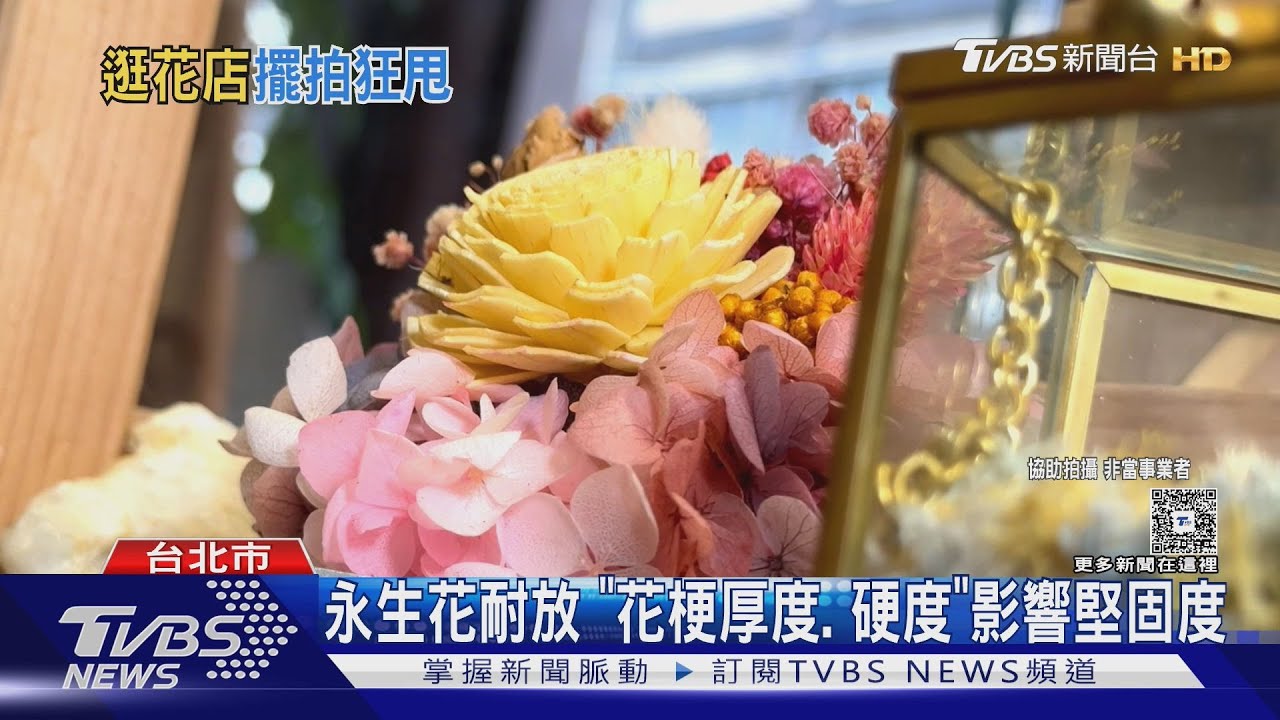 搖永生花釀損 其他業者:堅固和品種有關