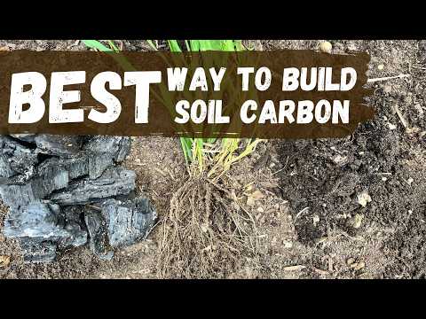 The BEST Way To Build Soil Carbon | Soil Organic Carbon Course