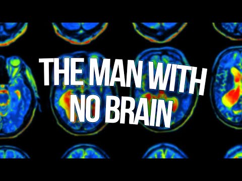 the smallest brain ever