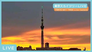 東京スカイツリーライブカメラ　TOKYO SKY TREE Live Camera