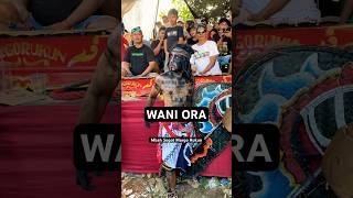 Download lagu Mbah Sogot Margo Rukun #jaranan #margorukun #barongankendal mp3 Download lagu Mbah Sogot Margo Rukun #jaranan #margorukun #barongankendal mp3