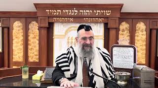 קיצור הלכות ארבעת המינים (הרב יצחק ישראלי) - התמונה מוצגת ישירות מתוך אתר האינטרנט יוטיוב. זכויות היוצרים בתמונה שייכות ליוצרה. קישור קרדיט למקור התוכן נמצא בתוך דף הסרטון