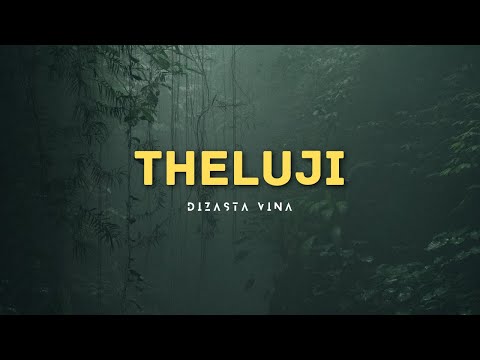 Dizasta Vina - Theluji