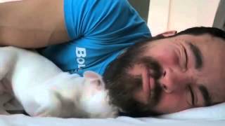 Frenchie puppy alarm clock