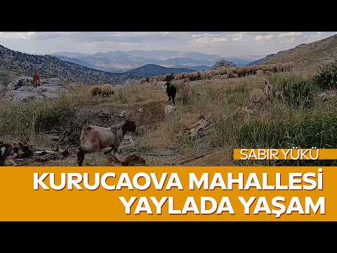Halil İbrahim Köse'nin Yaylada Hayvancılık İle İlham Veren Yaşam Hikâyesi | Sabır Yükü
