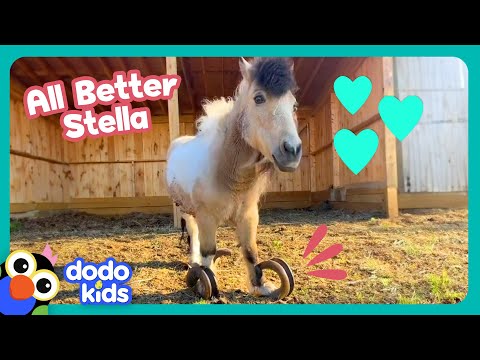Whoa! This Pony's Hooves Are WAY Too Long! | Dodo Kids | All Better