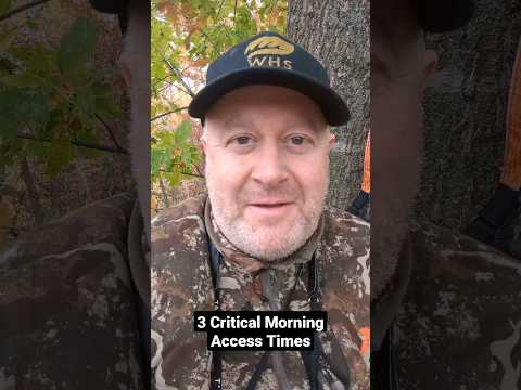 When To Access A Morning Deer Stand #bowhuntingwhitetails #deerhunting #deerhunt #hunting