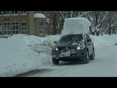 Orchard Park, NY Digs Out From Massive Lake Effect - 11/19/2022