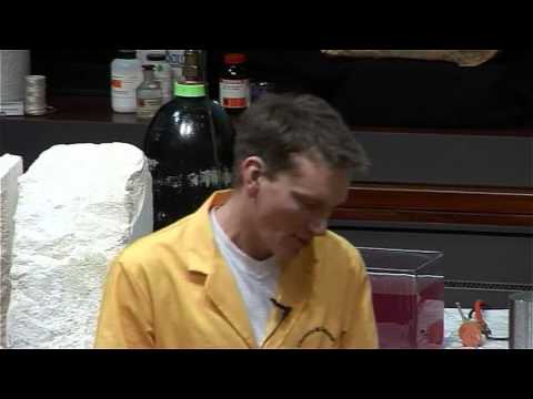 Free Range Chemistry  01 - Everything is Chemical