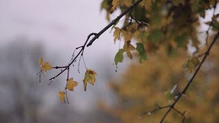 preview picture of video 'Fammi Sognare Ancora | Dove Comincia il Sole - Oratori di Sondrio - Natale 2014'