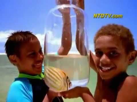 Australia Advertises the 'Best Job Ever'