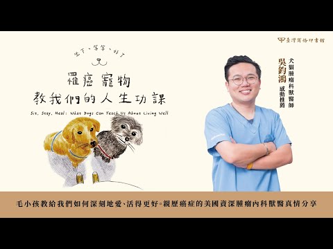 坐下、等等、好了：罹癌寵物教我們的人生功課 影片預覽