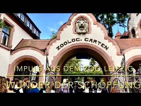 Staunen über die Wunder der Schöpfung