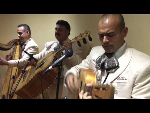 Mariachi Los Camperos (LIVE @ LA FONDA) - Los Arrieros/Las Olas featuring Tony Zuniga