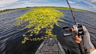 Summer Bass fishing on the California Delta (2025)