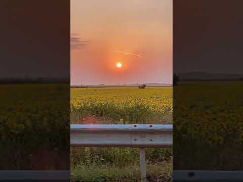 #sunrise #sun #pretty #beautiful #red #orange #sky #cloudporn #nature #view #morning #all_sunsets