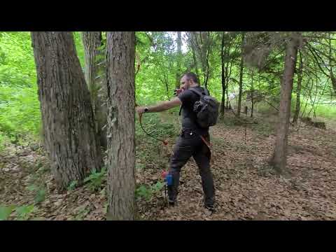 Riegersburg 3D Archery