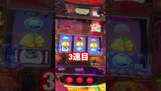 初詣してからパチンコよ！【沖ドキを打ちます】ついて来れんやつおらんよな？