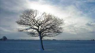 Trentemoller - While The Cold Winter Waiting.mp4