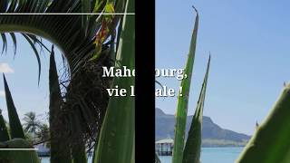 Lancement le 2 septembre de notre nouvelle activité Slow Travel à l'Ile Maurice !