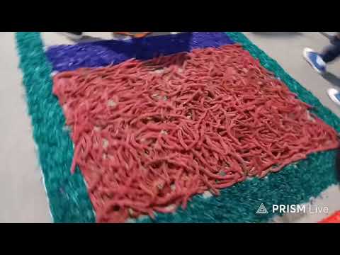 QUINTO VIERNES DE CUARESMA 2026 DESDE PALIN ESCUINTLA NO TENGO DERECHOS DE AUTOR 