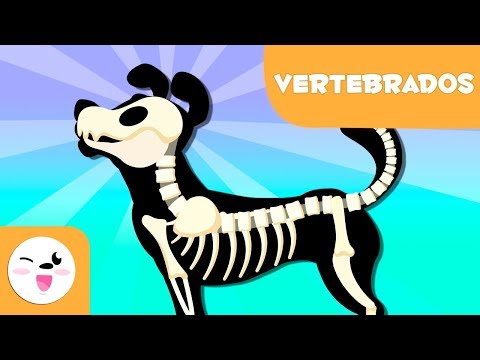 Animales vertebrados para niños - Introducción