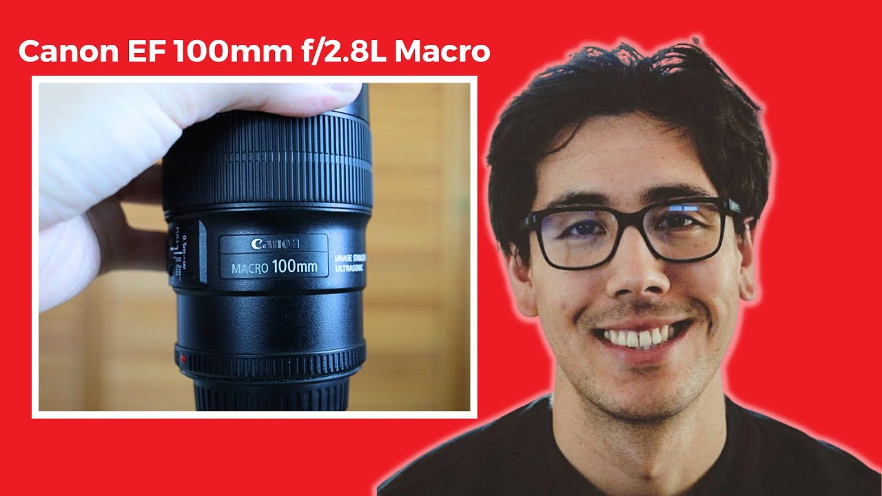 Canon EF 100mm f/2.8L IS Macro Review - The Macro King?