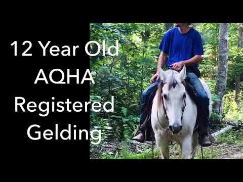 For Sale Zans Smokin Hot Doc DLTC