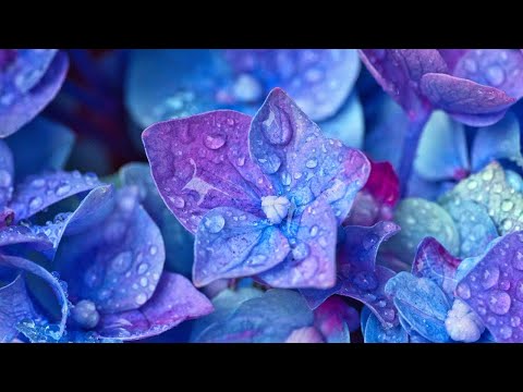 Marina i Neno: Moć Ljubavi