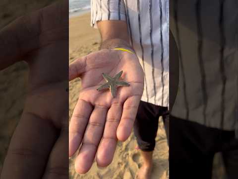 ECR beach🤩 #vibewithprasanth #trendingshorts #ecrbeach #beachvibes #chennai #sunrise