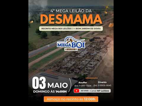 MEGA BOI LEILÕES - BOM JARDIM DE GOIÁS 03/05/2026