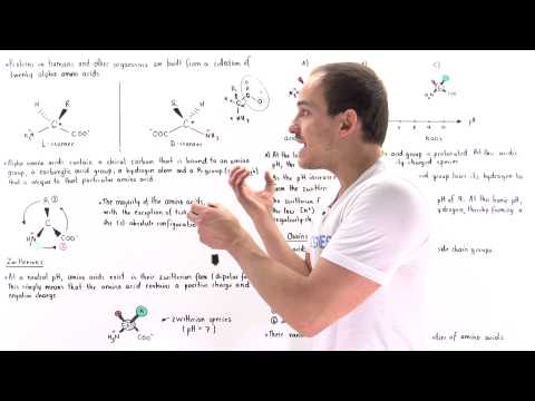 Introduction to Amino Acids