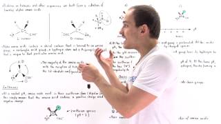 Introduction to Amino Acids