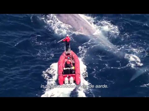 Racing Extinction // Trailer (NL sub)