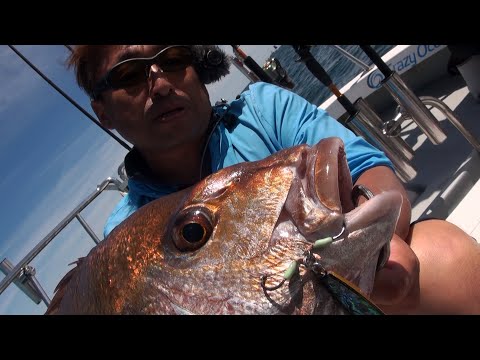 取材動画サムネイル 14