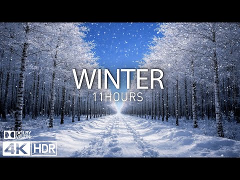 11 HOURS OF WINTER WONDERLAND - SNOW 4K ❄️Winter Magic & Relaxing Music for Stress Relief