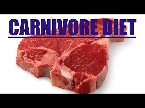 Carnivore Diet: Why Is It Gaining Popularity? Dr. Nash Jocic Explains!