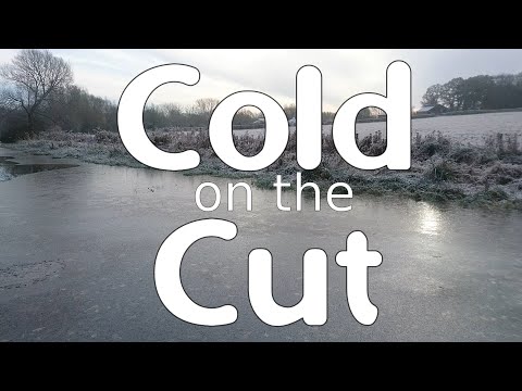 A Day in the Life - Cold on the cut