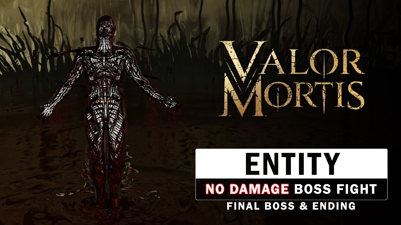 Valor Mortis - Entity, Voice Of The Void Boss Fight (No Damage) - Final Boss & Ending