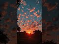Climate Change Music Song Love