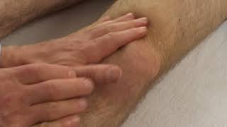 Test vắt sữa (milking test)