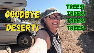 Traveling w/a Friend, Free Camping in the Trees and Getting Lost?
