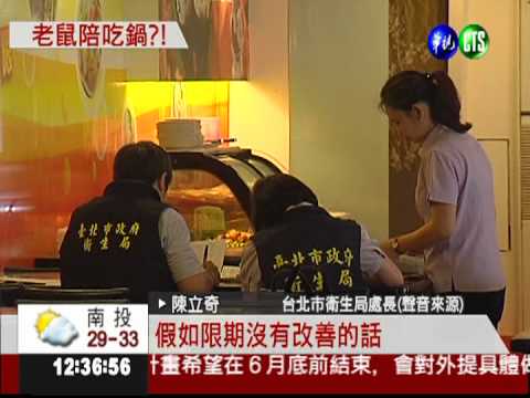"強強滾"火鍋店 驚見老鼠逛大街