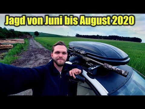 🦌 Jagd, Juni bis August