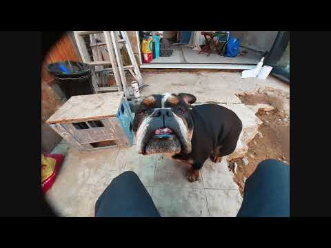 Best Of Drum&Bass Mix's By DYSLEXIK METHOD